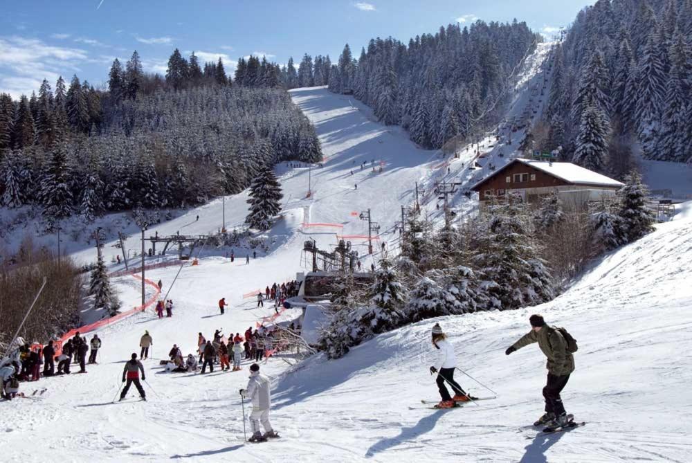 Au Chalet D'Aline - Atypique Pour 4 Personnes Gerardmer Exterior photo