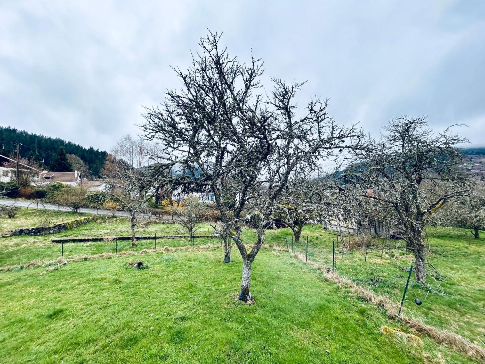 Au Chalet D'Aline - Atypique Pour 4 Personnes Gerardmer Exterior photo